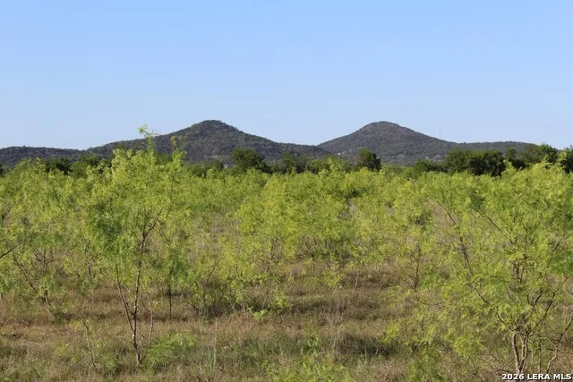 245 County Road 356 Utopia, TX 78884