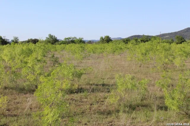 245 County Road 356 Utopia, TX 78884