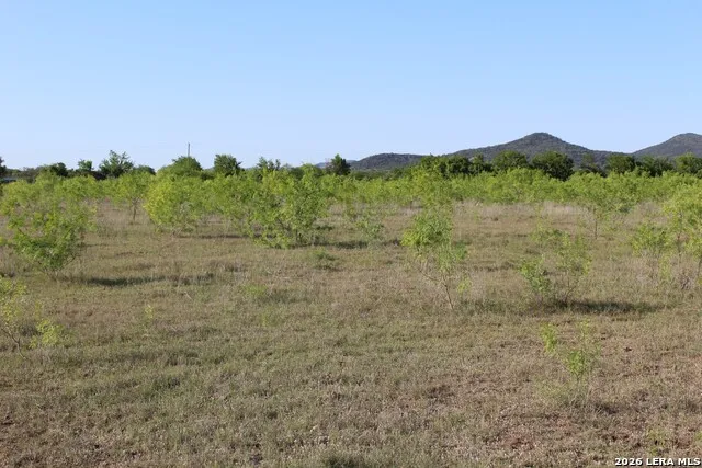 245 County Road 356 Utopia, TX 78884