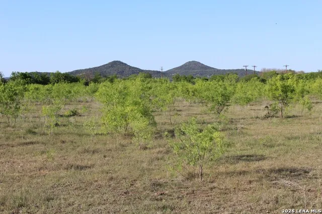 245 County Road 356 Utopia, TX 78884