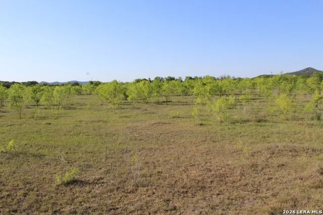 245 County Road 356 Utopia, TX 78884