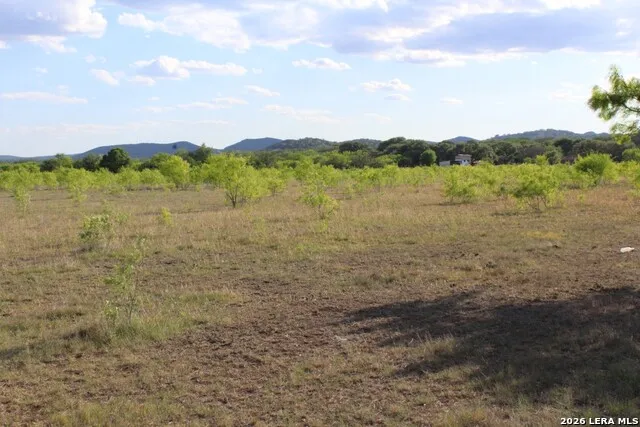 245 County Road 356 Utopia, TX 78884