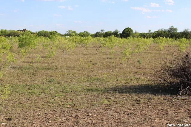 245 County Road 356 Utopia, TX 78884