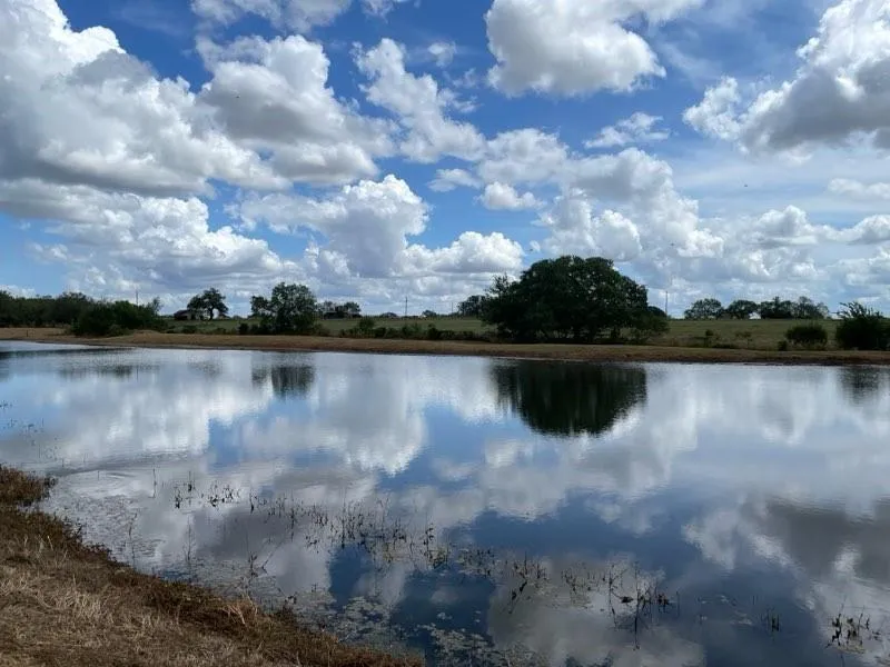 11088 Highway 97 W Highway Cost, TX 78614