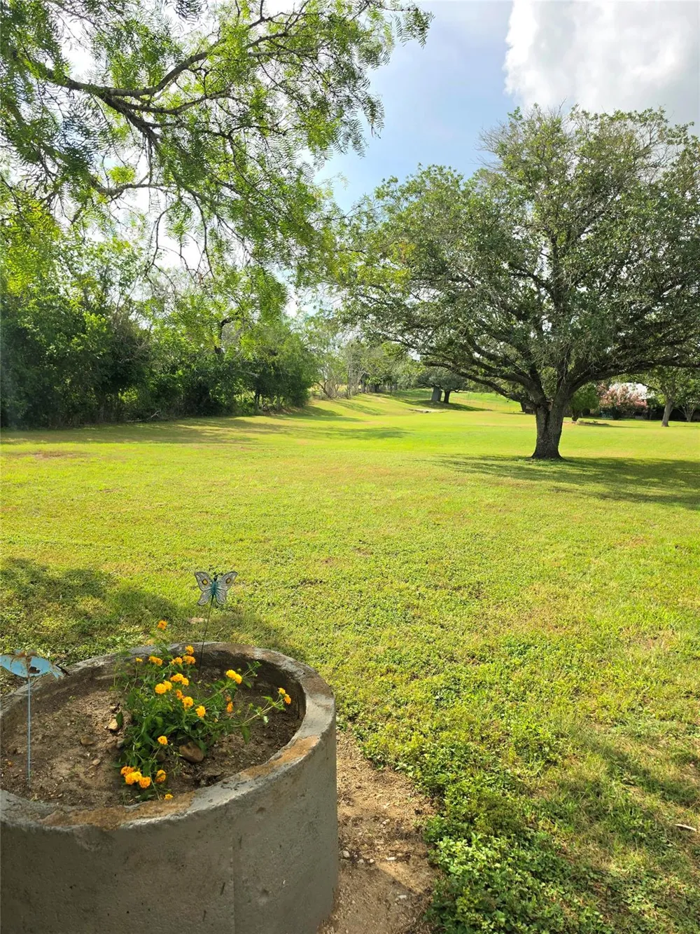 11088 Highway 97 W Highway Cost, TX 78614