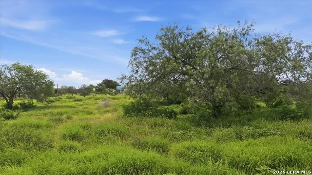 3187 HIGHWAY 72 Three Rivers, TX 78071