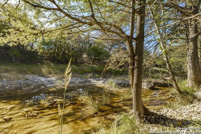 199 Palisades Camp Verde, TX 78010