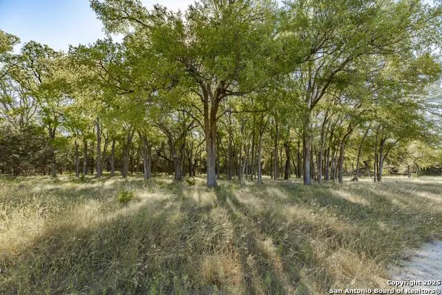 199 Palisades Camp Verde, TX 78010