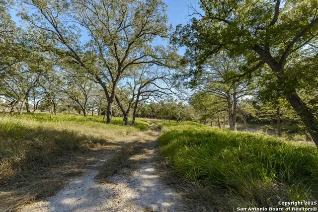 199 Palisades Camp Verde, TX 78010