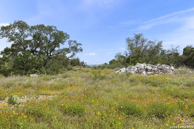 405 County Road 2744 Mico, TX 78056