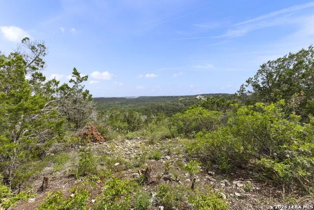 405 County Road 2744 Mico, TX 78056