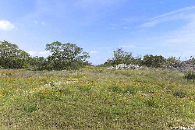 405 County Road 2744 Mico, TX 78056
