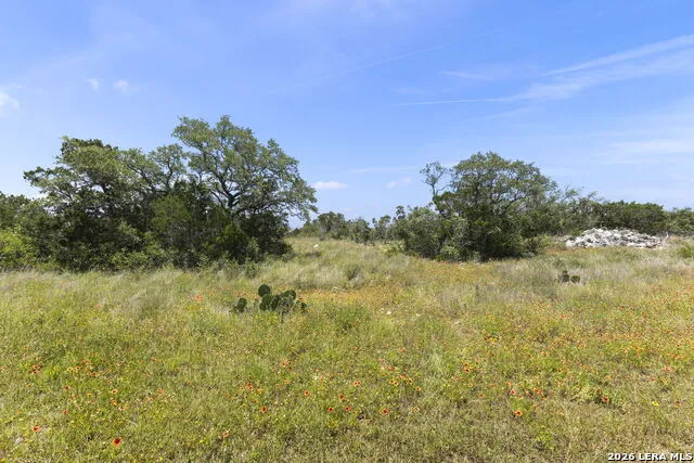 405 County Road 2744 Mico, TX 78056