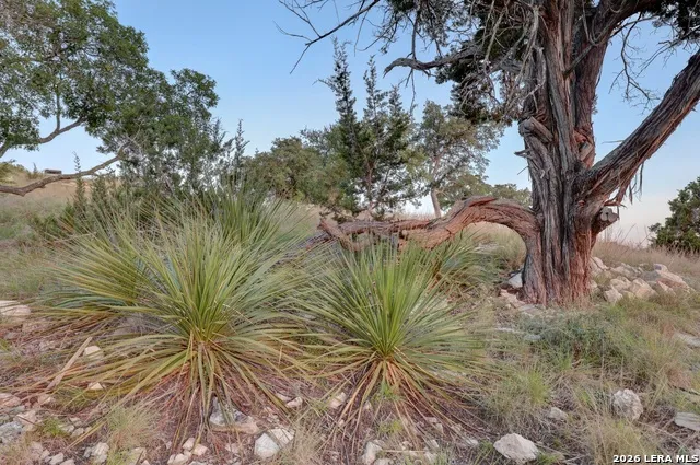 189 Cherry Springs Rd Hunt, TX 78024
