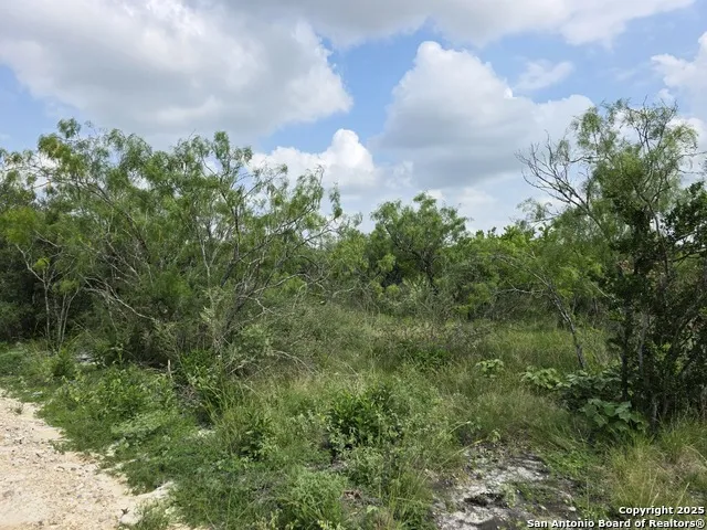 000 CR 312 Dhanis, TX 78850