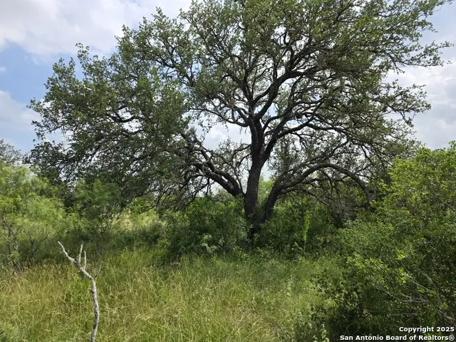 000 CR 312 Dhanis, TX 78850