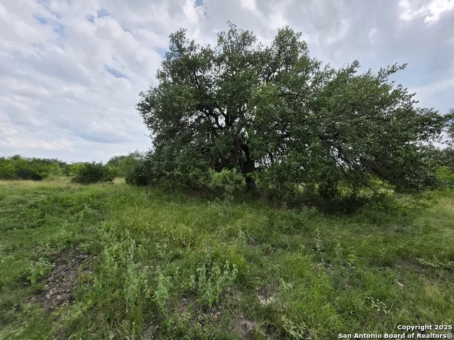 000 CR 312 Dhanis, TX 78850