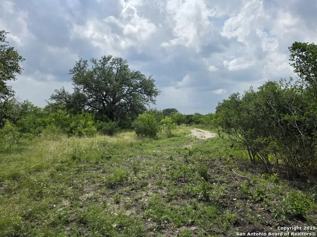 000 CR 312 Dhanis, TX 78850