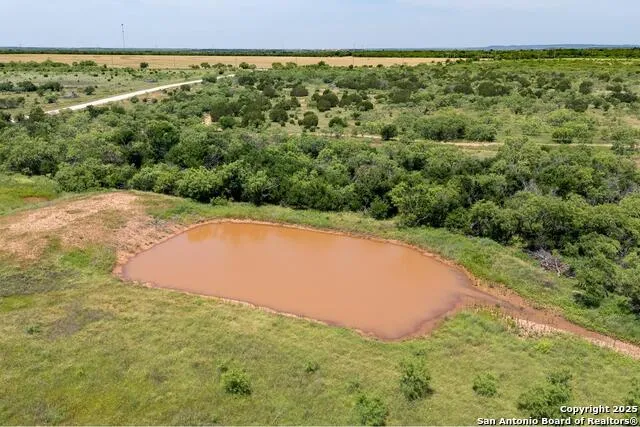 TBD County Road 174 Ovalo, TX 79541