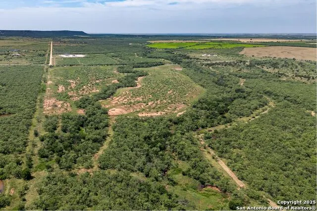 TBD County Road 174 Ovalo, TX 79541