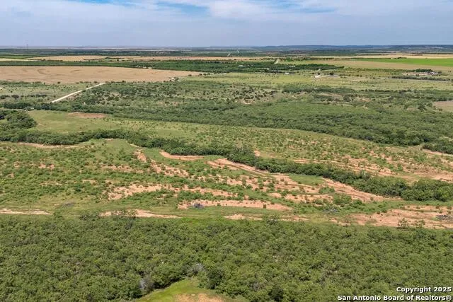TBD County Road 174 Ovalo, TX 79541