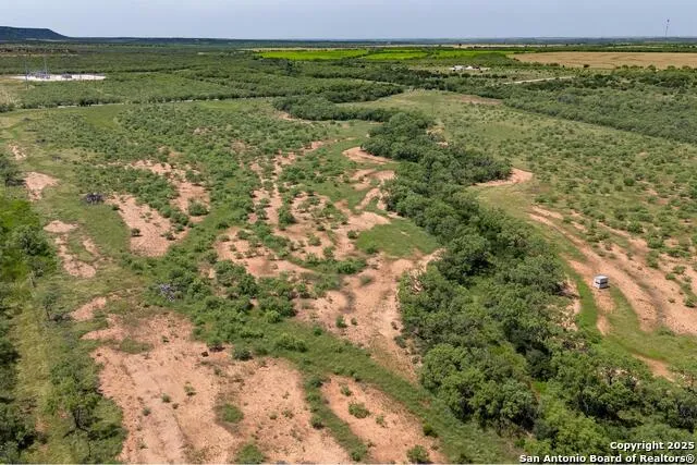 TBD County Road 174 Ovalo, TX 79541