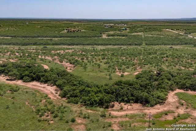 TBD County Road 174 Ovalo, TX 79541