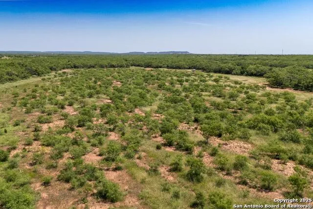 TBD County Road 174 Ovalo, TX 79541
