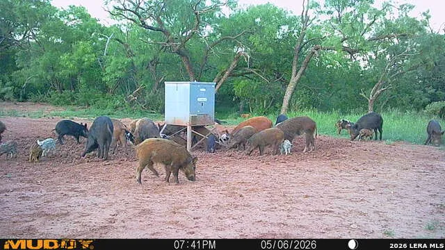 TBD County Road 174 Ovalo, TX 79541