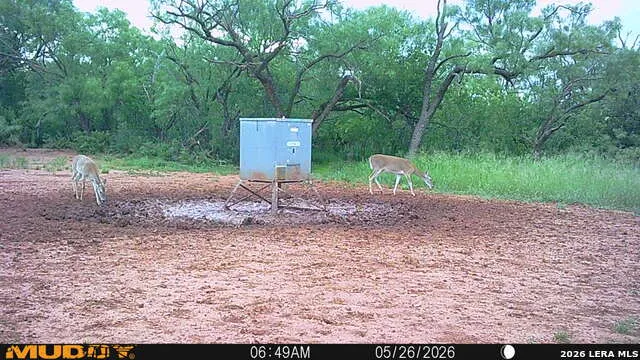 TBD County Road 174 Ovalo, TX 79541