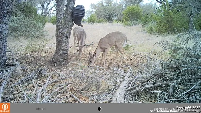 LOT 8 Orion Way Junction, TX 76849