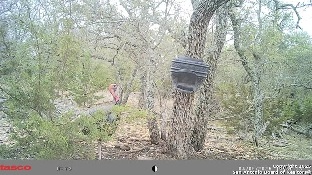 LOT 8 Orion Way Junction, TX 76849