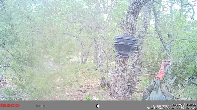 LOT 8 Orion Way Junction, TX 76849