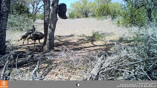 LOT 8 Orion Way Junction, TX 76849