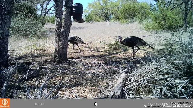 LOT 8 Orion Way Junction, TX 76849