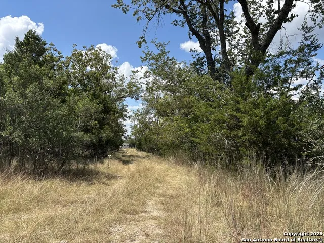 112 ULMUS RD Fredericksburg, TX 78624