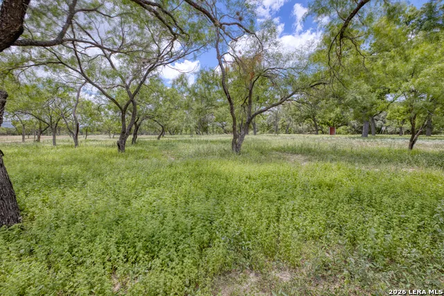 00 Cr 393 Camp Wood, TX 78833
