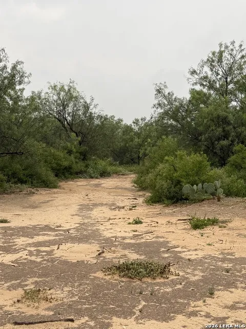 512 COMMUNITY RD Carrizo Springs, TX 78834