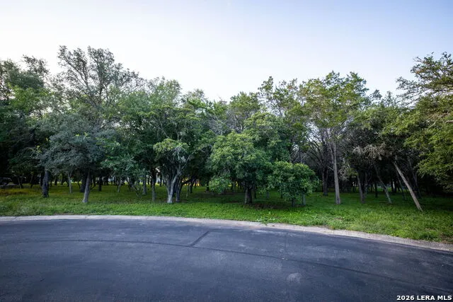 19514 WINDSWEPT CV Garden Ridge, TX 78266