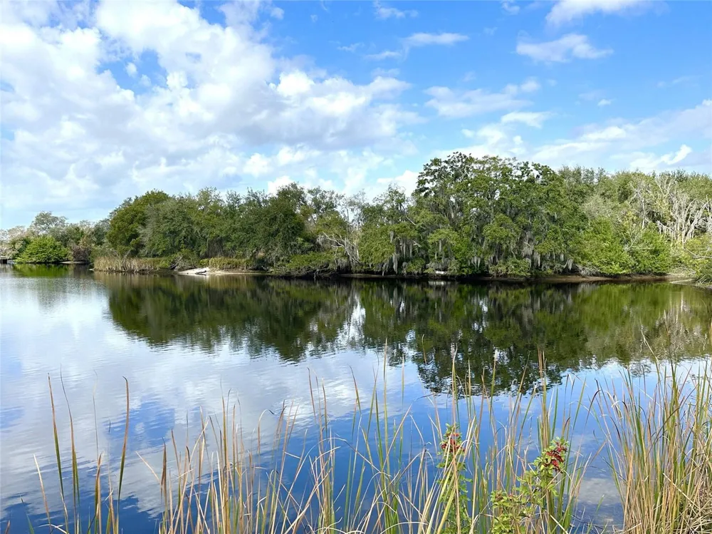 0 BERRY HILL ROAD Holiday, FL 34690