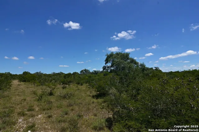 1641 Charco Beeville, TX 78102