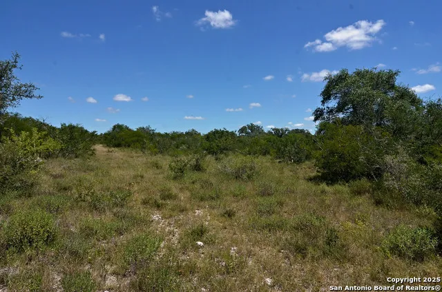 1641 Charco Beeville, TX 78102