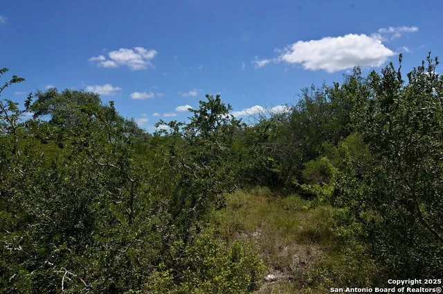 1641 Charco Beeville, TX 78102