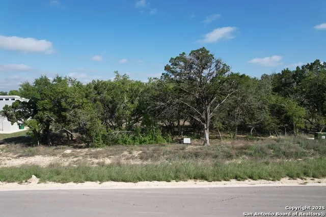 34749 Carries Creek Bulverde, TX 78163