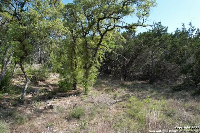 34749 Carries Creek Bulverde, TX 78163