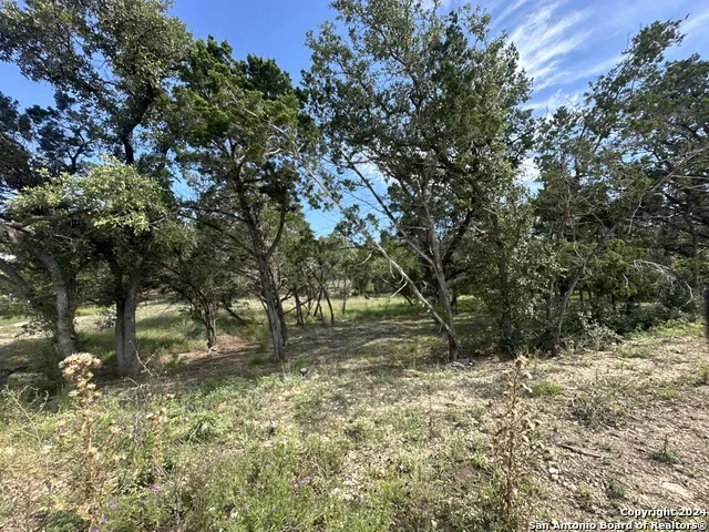 34749 Carries Creek Bulverde, TX 78163