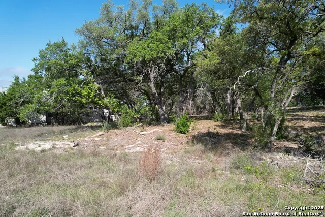 34749 Carries Creek Bulverde, TX 78163
