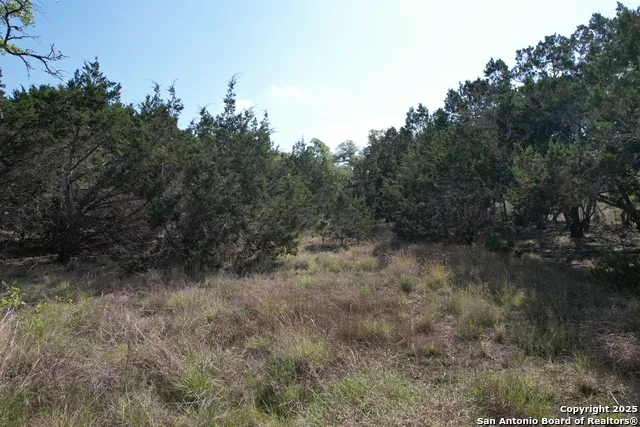 34749 Carries Creek Bulverde, TX 78163