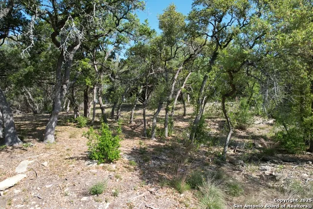 34749 Carries Creek Bulverde, TX 78163