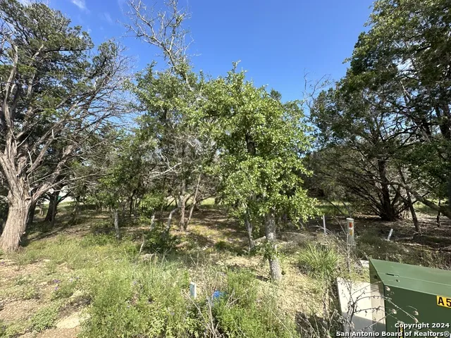 34749 Carries Creek Bulverde, TX 78163
